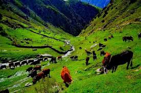 Best Time to Visit Afghanistan
